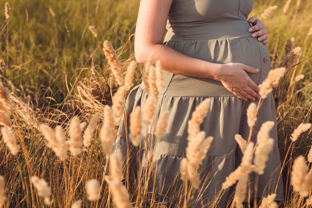 pregnant woman belly among dry fluffy grass on field, relaxation on summer nature, preparation for childbirth, health motherhood concept background - Fotografie, Obrázek