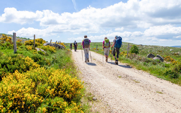 group of hikers walking on the path - Photo, Image