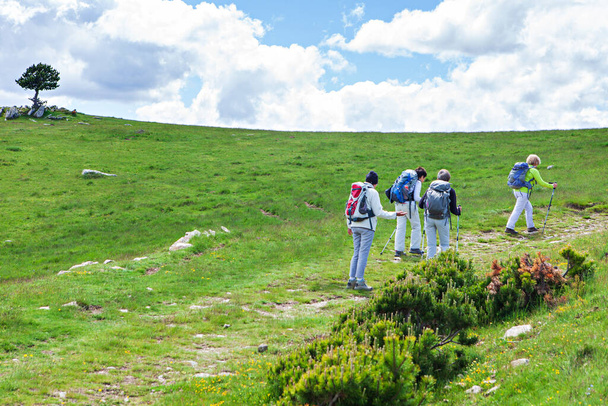 group of hikers walking on the trial - Photo, Image