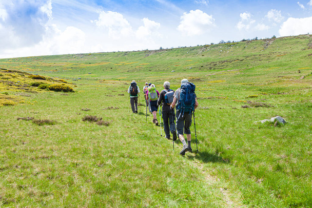 group of hikers walking on the trial - Photo, Image