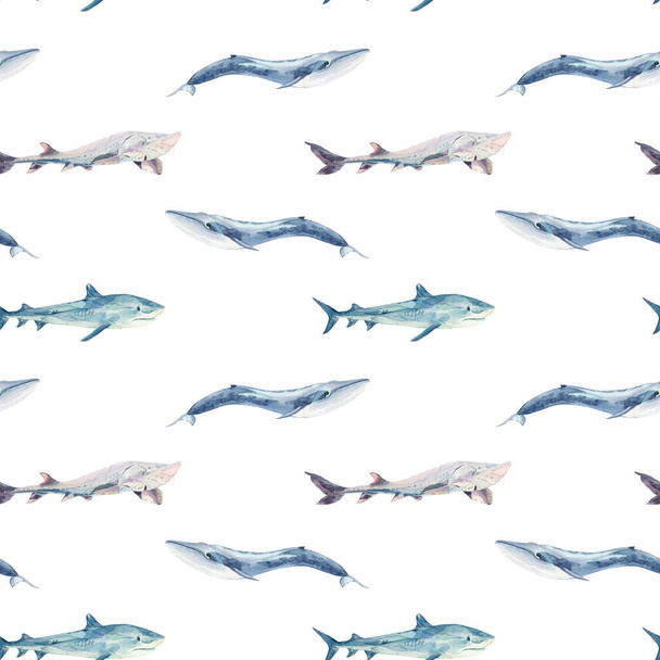 Watercolor seamless pattern with blue fish: shark, whale. Underwater world. - Foto, Imagem
