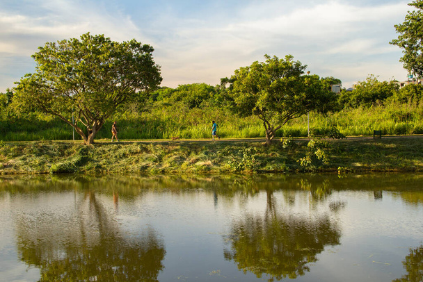  Późnym popołudniem widok Leoldio di Ramos Caiado Park w mieście Goiania. - Zdjęcie, obraz