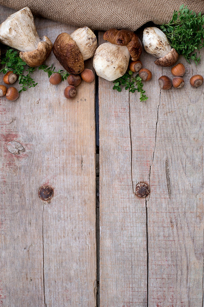 Mushrooms ceps, nuts and herbs. Copyspace above - 写真・画像