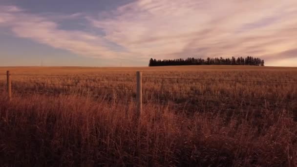 Vue panoramique au ralenti le long d'une clôture en fil de fer barbelé dans le comté de Rockyview Alberta Canada. - Séquence, vidéo