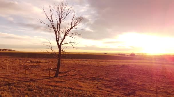 Morning sun rise tracking motion on the Canadian Prairies. - Footage, Video