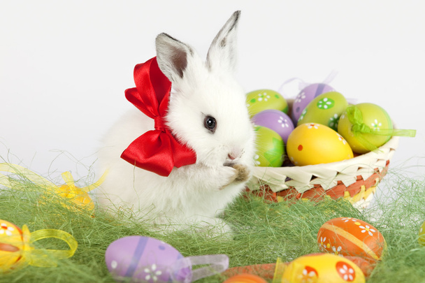 White Easter bunny with red bow on neck, next to a basket full o - Fotoğraf, Görsel