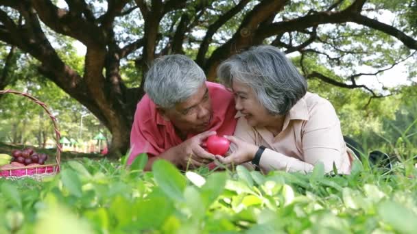 Boldog nyugdíjas pár a nyári kertben: Portré ázsiai idős pár kezében piros szívvel nézi a fényképezőgépet mosolyogva mutatja a szeretet és a boldogság együtt kempingezés közben a kertben. - Felvétel, videó