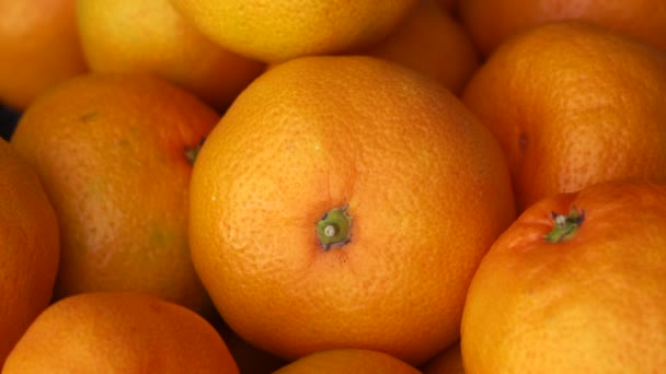 muchas mandarinas se encuentran en primer plano con una cámara que se acerca - Metraje, vídeo