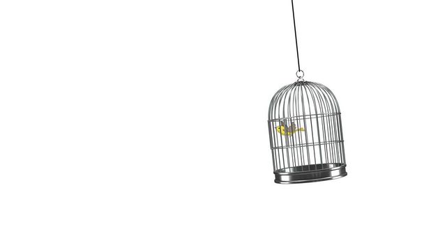  illustration - Dessin à la main. petit oiseau qui vole d'une cage à oiseaux - Photo, image
