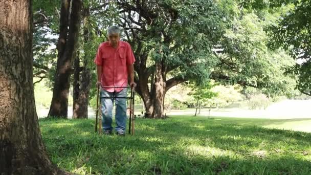 Aasian vanhempi mies kihti Polvi heikkous, hidas kävely tukea puutarhassa kuntoutukseen. ja yrittää kävellä auttamaan itseään kihti. - Materiaali, video