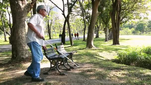 Het leven van een Aziatische senior blinde man gebruikt een stok om hem te begeleiden en zit in een houten stoel om te zitten en te ontspannen in de namiddag tuin in de heldere lucht. - Video