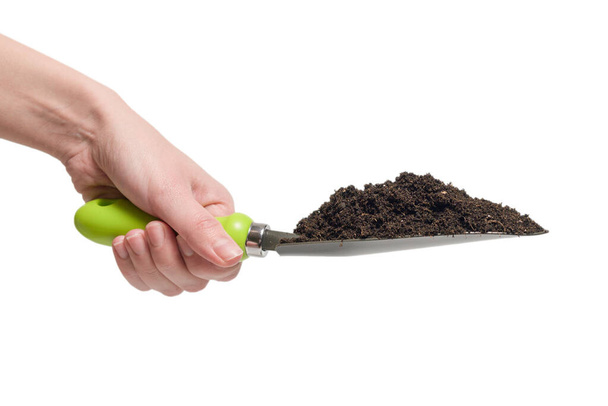 Маленькая зеленая лопата с почвой в руке женщины изолированы на белом фоне.   - Фото, изображение