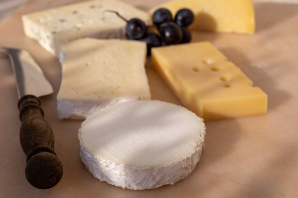 Französische Käsekollektion auf Marmorplatte, Emmental, Carre de Aurillac, Petit Cantal AOP Jeune, Buche chevre und Brie - Foto, Bild