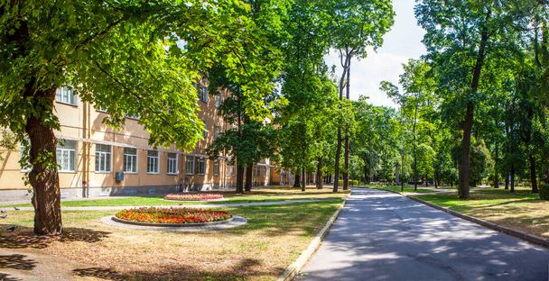 I.P.にちなんで名付けられた最初の医科大学の近くの広場。パヴロフ。サンクトペテルブルク。ロシアだ。2021年7月18日 - 写真・画像