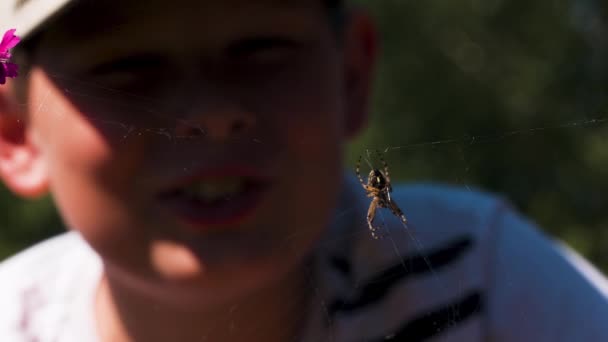 A kisfiú felfedezi a vadvilágot, és egy pókot néz a szabadban egy nyári napsütéses napon. Kreatív. Közelkép egy rovarról és a homályos fiú arcáról a háló mögött. - Felvétel, videó