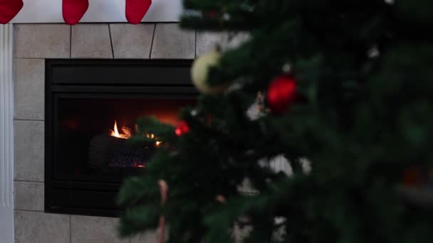 Bruciante camino a gas naturale con albero di Natale di fronte ad esso e calze vacanza appeso in cima - Filmati, video