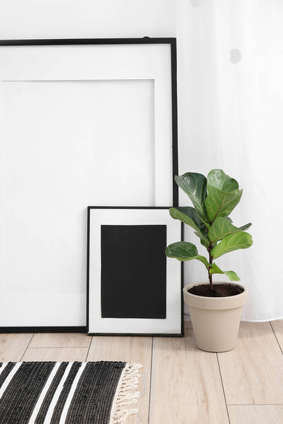 Marcos en blanco y planta de interior cerca de la pared de luz - Foto, imagen