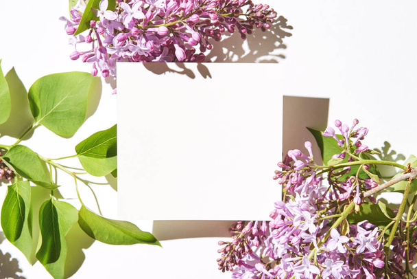 Trend sunny lilac mockup. White paper. Nature garden design. Flower card - Φωτογραφία, εικόνα