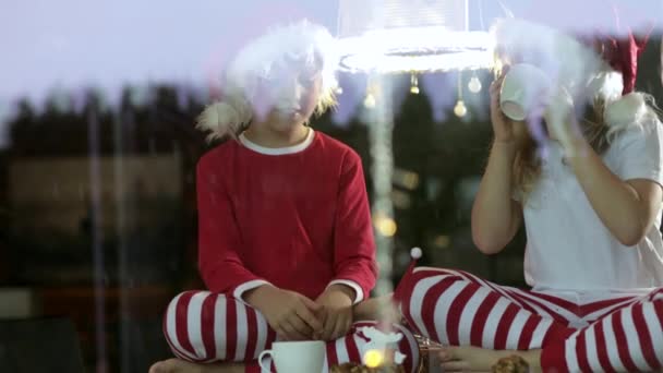 Két karácsonyi sapkás gyerek üldögél, teát iszik és tortát eszik otthon karácsonykor.      - Felvétel, videó
