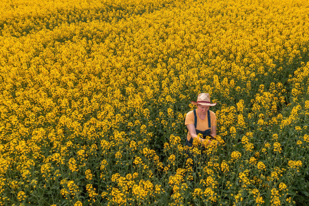 Aerial view of female farmer with digital tablet computer in blooming rapeseed field using innovative technology in agricultural activity - Foto, afbeelding