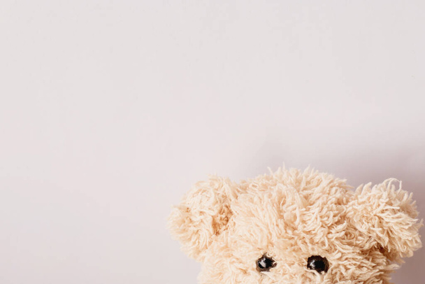 Part of a face teddy bear on the background - Foto, Imagem