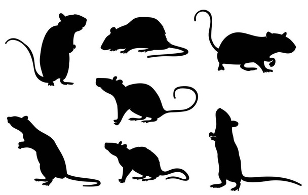 silueta sada myši, krysa na bílém pozadí, izolované, vektor - Vektor, obrázek