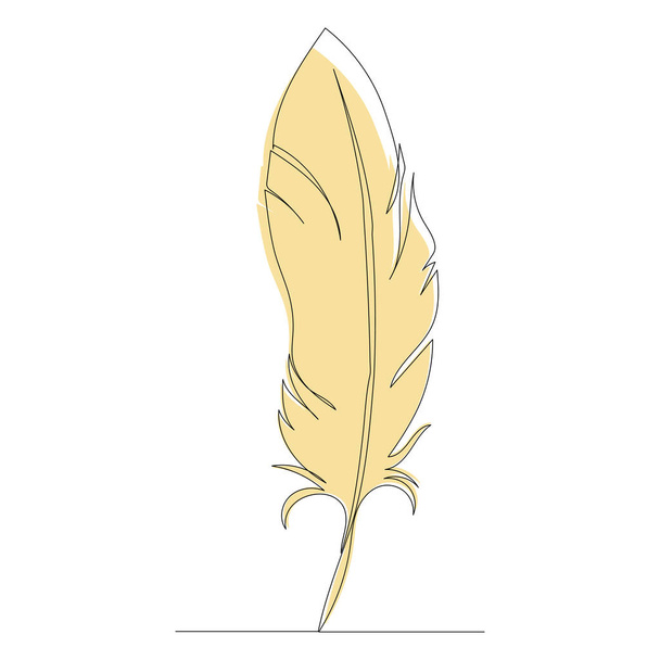 bird feather, picture sketch, vector, isolated - Vector, Imagen