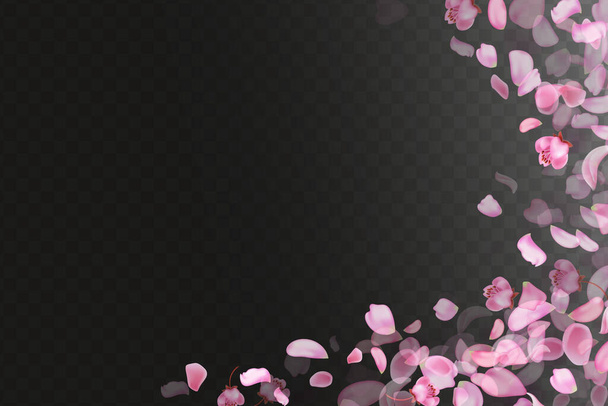 Natuur horizontale achtergrond.Roze vallende sakura bloemblaadjes en bloemen. - Vector, afbeelding