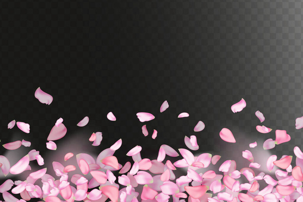 Fondo horizontal de la naturaleza.Pétalos y flores de sakura de color rosa. - Vector, Imagen