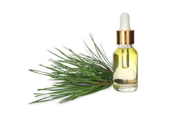Glass bottle of essential oil and pine branch on white background - 写真・画像