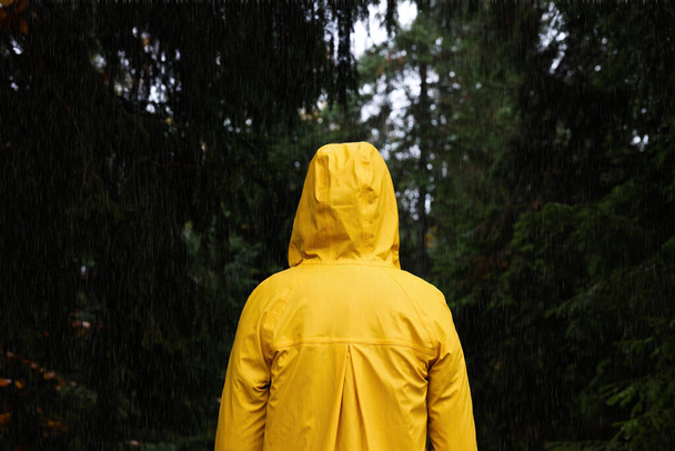 Woman with raincoat in forest under rain, back view - Fotografie, Obrázek