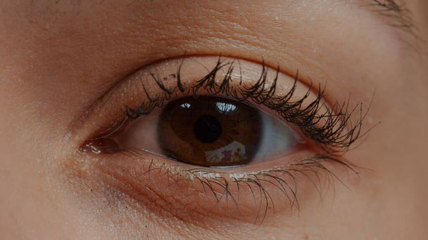 Extreme closeup of human eye in front of camera - Photo, Image