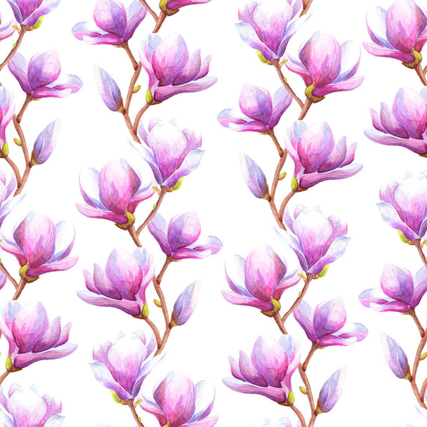 Hand drawn watercolor seamless pattern illustration of magnolia or tulip tree branch with pink flowers over white background. - Fotó, kép