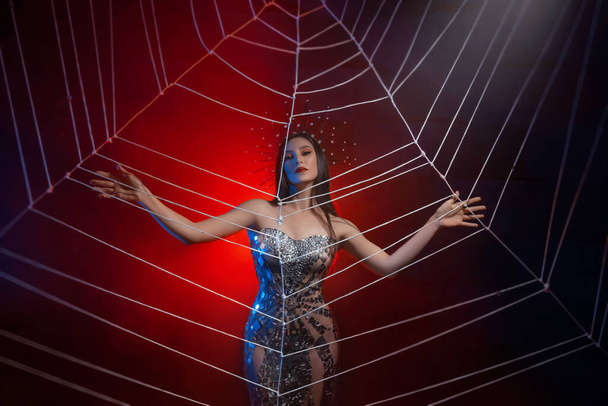 Fantasy photo of spider-queen woman in shiny silver dress, touching large cobweb with hands. Carnival costume black widow royal crown. Girl princess fashion model posing in studio red light background - Foto, Bild