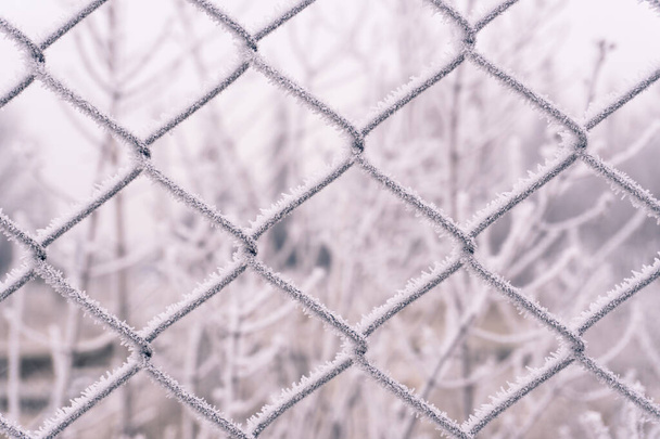 Frost on a metal grid against a winter background. - Фото, зображення