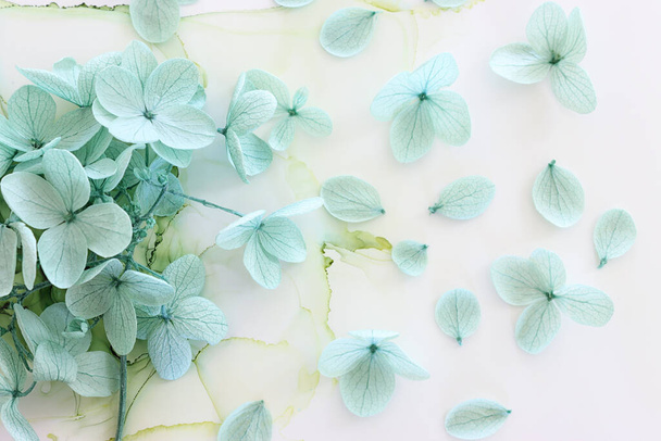 Creative image of pastel mint green Hydrangea flowers on artistic ink background. Top view with copy space - Foto, Imagem