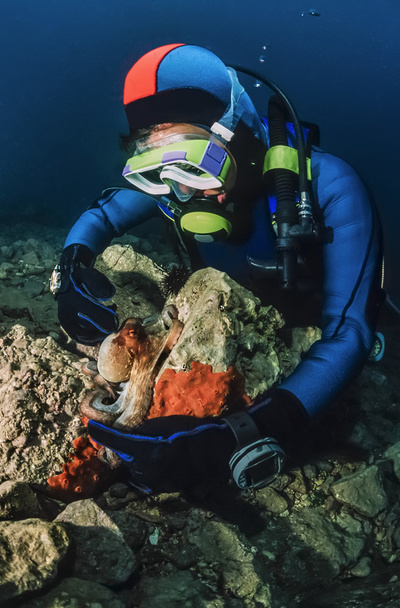 Pequeno polvo e mergulhador no Mar Adriático
 - Foto, Imagem