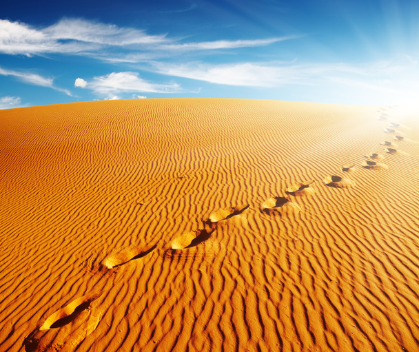 Footprints on sand dune - Photo, Image