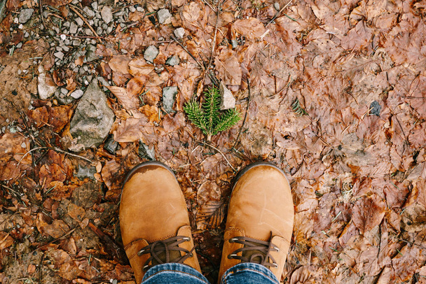 茶色の靴の男性の足は、落ち葉で覆われた地面に立っている。閉鎖 - 写真・画像