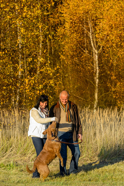 Couple playing with dog autumn sunset park - Фото, изображение