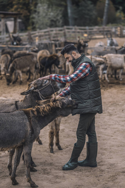 A farmer with his animals at the fram - Φωτογραφία, εικόνα