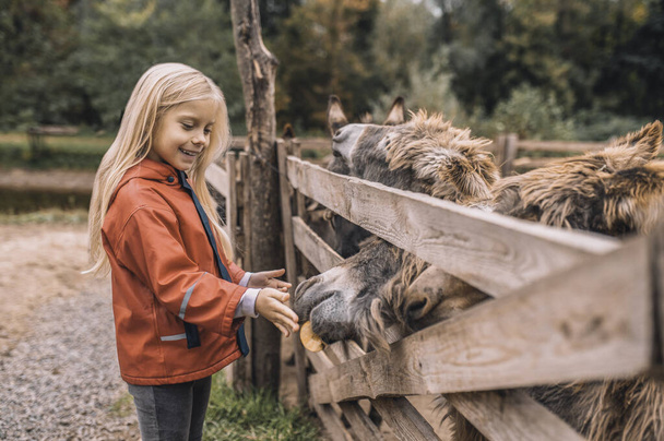 Blonde cute girl standing near the cattle-pen - Photo, Image