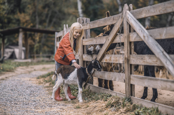 Um gilr bonito acariciando uma pequena cabra - Foto, Imagem