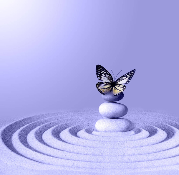 Pierre de méditation de jardin zen pour la concentration et la relaxation avec papillon. Couleur très péri 2022. - Photo, image