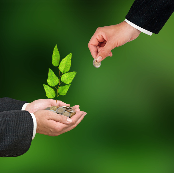 Investir em negócios ecológicos
 - Foto, Imagem