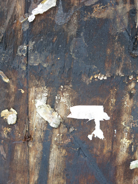 βάναυση υφή της επιφάνειας ενός βρώμικου ξύλινου στύλου εμποτισμένου με μαζούτ, με ίχνη από σκισμένες διαφημίσεις - Φωτογραφία, εικόνα