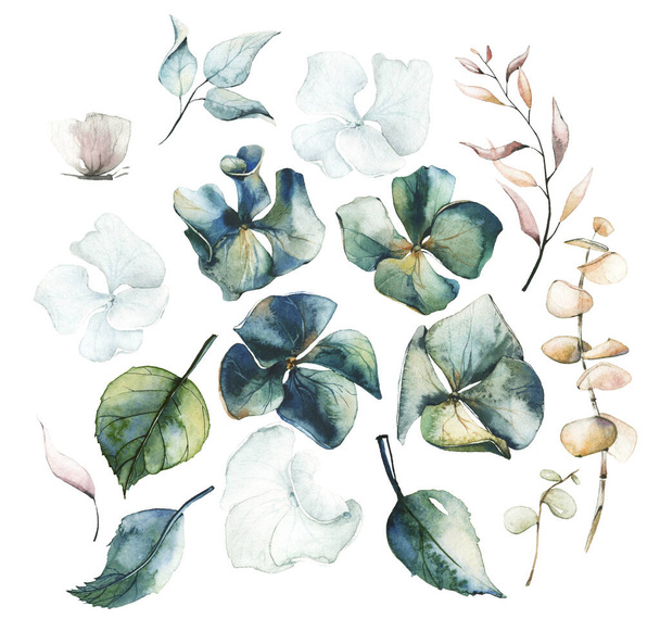 Watercolor painted floral set of dried flowers, hydrangea, leaves, branches, eucalyptus - Fotoğraf, Görsel