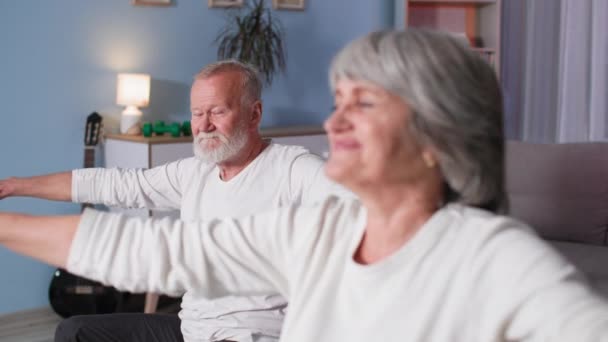 υγιεινό και σπορ τρόπο ζωής, αθλητικό ζευγάρι κάνει κάμψεις προς τα δεξιά και αριστερά, πορτρέτο της ηλικιωμένης γυναίκας γελάει χαρούμενα κατά τη διάρκεια της προθέρμανσης - Πλάνα, βίντεο