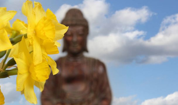 Yellow Daffodils With Buddha Statue in Background Shallow DOF - Photo, Image