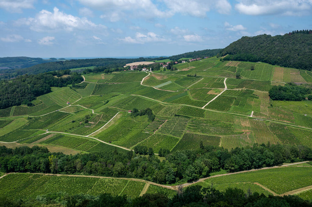 Vista panoramica su verdi vigneti collinari vicino al villaggio del vino Chateau-Chalon nella regione Jura, Francia - Foto, immagini